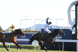 King Mufhasa (right) will try to repeat last year's effort in the Toorak Handicap at Caulfield today. Photo / Duncan Brown