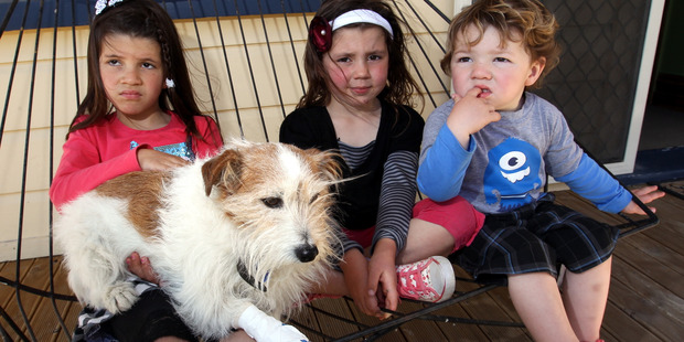 Pippa, 6, with Roofus, the family dog, Lily, 5, and Fletcher, 2, from Napier. Photo / Hawkes Bay Today