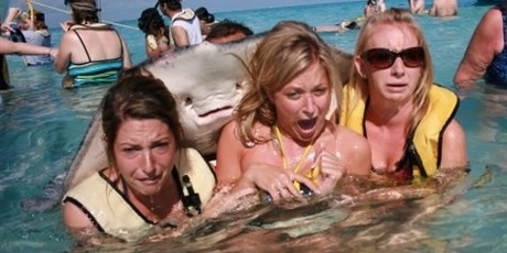 The stingray photobomb. Photo / Supplied