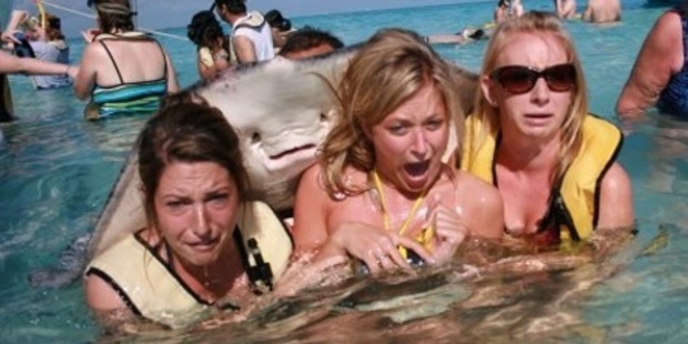 The stingray photobomb. Photo / Supplied