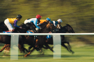 Photo / Thinkstock