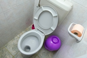 Do you have rules about the toilet seat in your house?Photo / Thinkstock