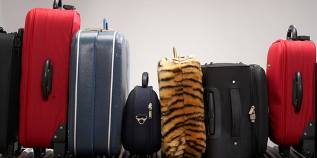 It always pays to make your luggage a bit distinctive. Photo / Thinkstock