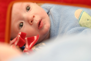 The Adoption Act has not changed since it was first written in 1955. Photo / Getty Images