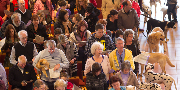 The Blessing of the Animals at the Cathedral of the Holy Trinity, Parnell. Photo / Richard Robinson