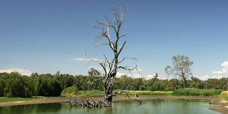 The Murray-Darling Basin's 77,000km of rivers feed farms that produce a third of Australia's food. Photo / Getty Images