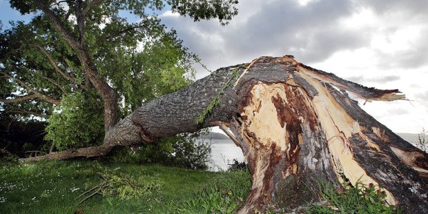Storm damage at the Koutu lakefront. Photo / Stephen Parker