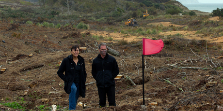 Deborah Harding and Mikaera Miru of the Te Uri O Hau Settlement Trust stand where the third green will be at Te Arai Pt. Photo / Brett Phibbs