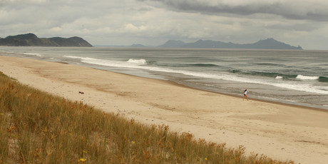 Te Arai beach near Mangawhai, where the Te Uri o Hau iwi hope to build a world class golf course with the help of US financier Ric Kayne. Photo / Janna Dixon