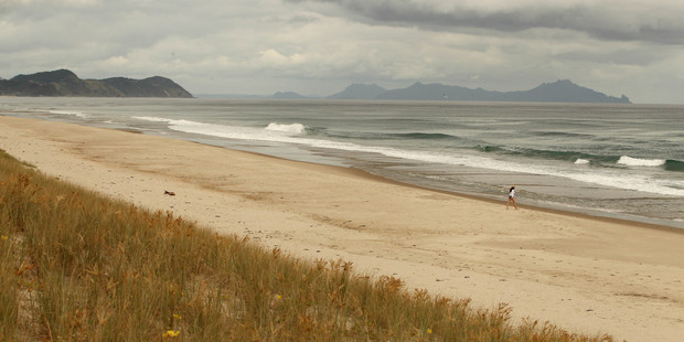 Te Arai beach near Mangawhai, where the Te Uri o Hau iwi hope to build a world class golf course with the help of US financier Ric Kayne. Photo / Janna Dixon