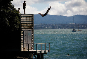 Photo / Richard Robinson