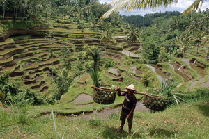 New Zealanders have jumped at the opportunity to get to Bali and travel to the Indonesian resort island increased 38 per cent this winter.