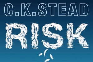 Book cover of Risk. Photo / Supplied