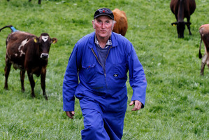 Matamata dairy farmer Stu Wadey was forced to dump milk after a landslide caused a leak in the Maui gas pipeline. Photo / Christine Cornege