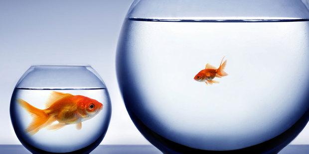 Photo / Thinkstock