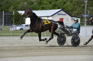 The Fiery Ginga. Photo / Otago Daily Times