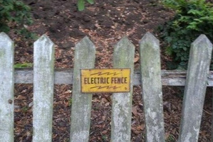 Watch the fence. Photo / Supplied