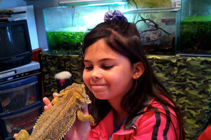 Up close and personal with a bearded dragon. Photo / Danielle Wright