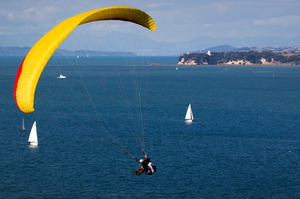 The Hauraki Gulf needs cohesive management. Photo / Sarah Ivey