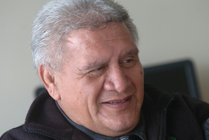 Maori Party president Pem Bird. File photo / Ben Fraser