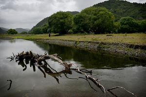 Tuhoe were not opposed to the creation of Te Urewera National Park, but wanted to remain on the last lands in the heart of the park. Photo / Greg Bowker