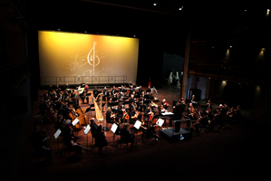Auckland Philharmonia Orchestra. Photo / File
