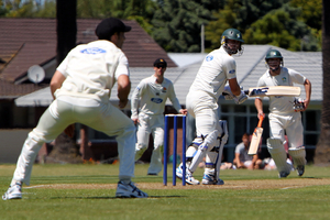 Offering to take your kid to watch a game of Plunket Shield cricket is not exactly a stirring entreaty. Kids dragging Dad to a T20 game is a much more likely scenario. Photo / APN