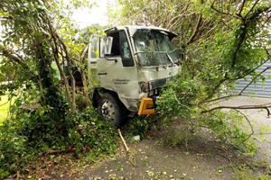 A truck crashed through three properties yesterday. Photo / Glenn Taylor