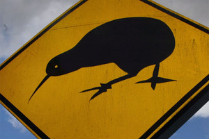 KiwiSaver fund mangers earned $125.8m in fees during the 2011 financial year. Photo / Hawkes Bay Today