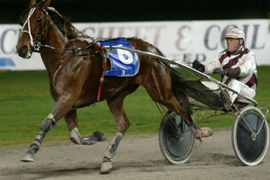 One of Tim Butt's happiest memories will be the 2004 Rowe Cup won by his champion Lyell Creek.Picture / Paul Estcourt