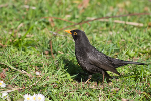 Photo / Thinkstock