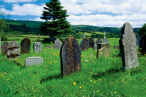 With the population explosion there was fears we would run out of room to bury all the bodies.Photo / Thinkstock