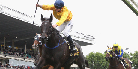 Silent Achiever proved too strong in the Crystal Mile at Moonee Valley on Saturday. Photo / Getty Images