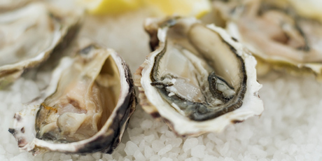 Close-up of oysters served on crushed ice. Photo / Getty
