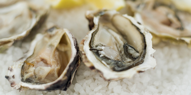 Close-up of oysters served on crushed ice. Photo / Getty