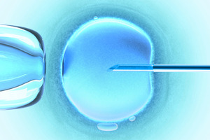 An experimental test will screen unfertilised eggs for high levels of gene proteins after harvesting. Photo / Getty Images