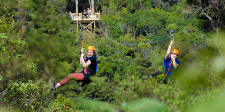 Strapped in and ready to go - EcoZip Adventures cater for eight to 88-year-olds. Photo / Supplied