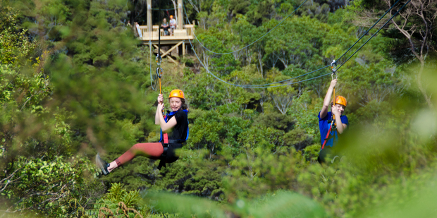 Strapped in and ready to go - EcoZip Adventures cater for eight to 88-year-olds. Photo / Supplied