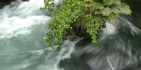 The esoteric power of rivers seems to have had near-universal appeal in traditional cultures. Photo / Rotorua Daily Post
