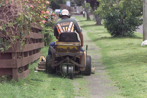 Council attention to untidy berms is under threat in a bid to save money. Photo / Supplied