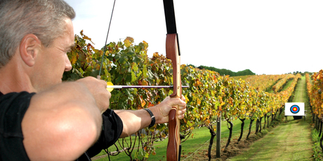 Archery at Wild on Waiheke. Photo / Supplied