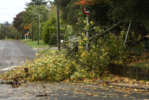 The MetService says severe norwest gales are likely to create flying debris around the Otago and Southland regions today. Photo / Daily Post