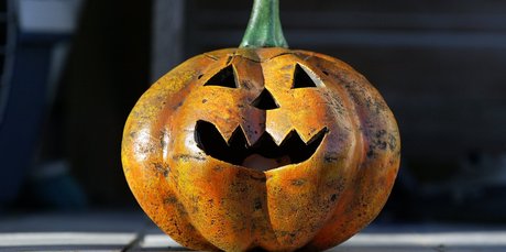 The pumpkin flesh need not go to waste after carving. Photo / Dean Purcell
