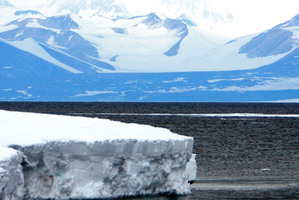 Philippa Ross, the great-great-great-granddaughter of polar explorer Sir James Clarke Ross, has vowed to keep fighting "until the entire Ross Sea is safe from fishing". Photo / Wayne Drought