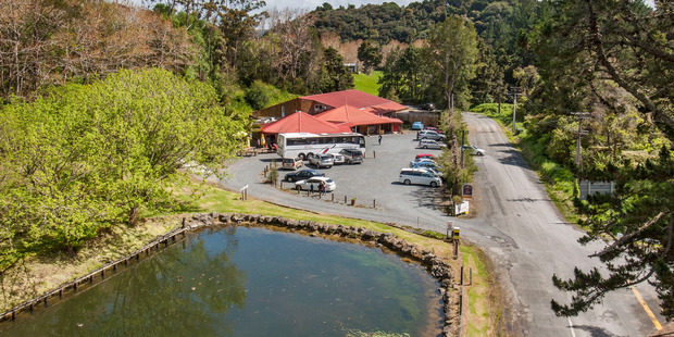 The Honey Centre is a popular tourist spot along State Highway One near Warkworth. Photo / Supplied