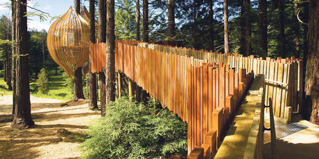 Elevated entrance walkway to the Treehouse hospitality venue. Photo / Supplied