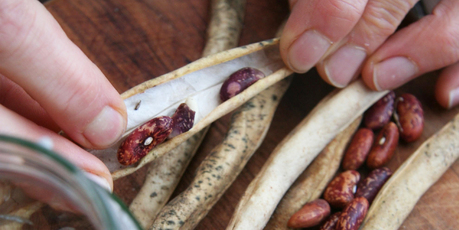 Dried beans make an excellent addition to soups and stews. Photo / Supplied