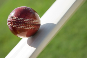 The domestic T20 season begins with a whisper in Hamilton tonight. Photo / Thinkstock
