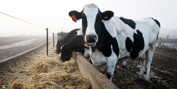 Fonterra will develop two farms located 120km east of Beijing, on an 80-hectare site. Photo / NZH