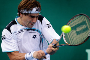 David Ferrer. Photo / Sarah Ivey